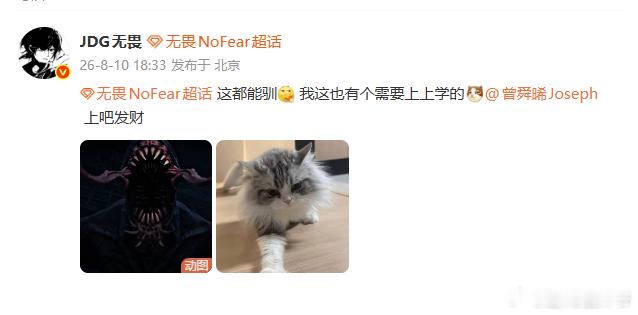 无畏向吴老狗请教驯兽秘籍刷到追剧梗直接玩起来，无畏在线取经驯猫技巧，打算自家猫咪