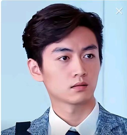 陈晓被定义为宇宙级的帅哥，这一点都没有夸张的成份，作为娱乐圈中生代的代表，确实他