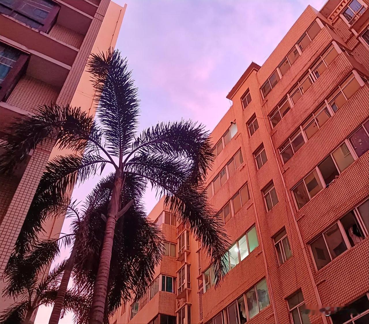 都说家丑不可外扬，我妹妹又被脾气暴躁的公公扇两个大耳光。
她婆婆不但没帮忙，反而