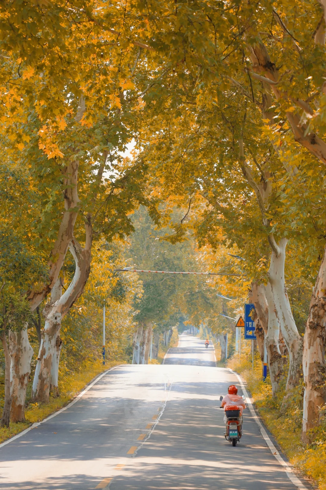 暴走江夏3W步❗️挖到5条超赞秋日徒步路线