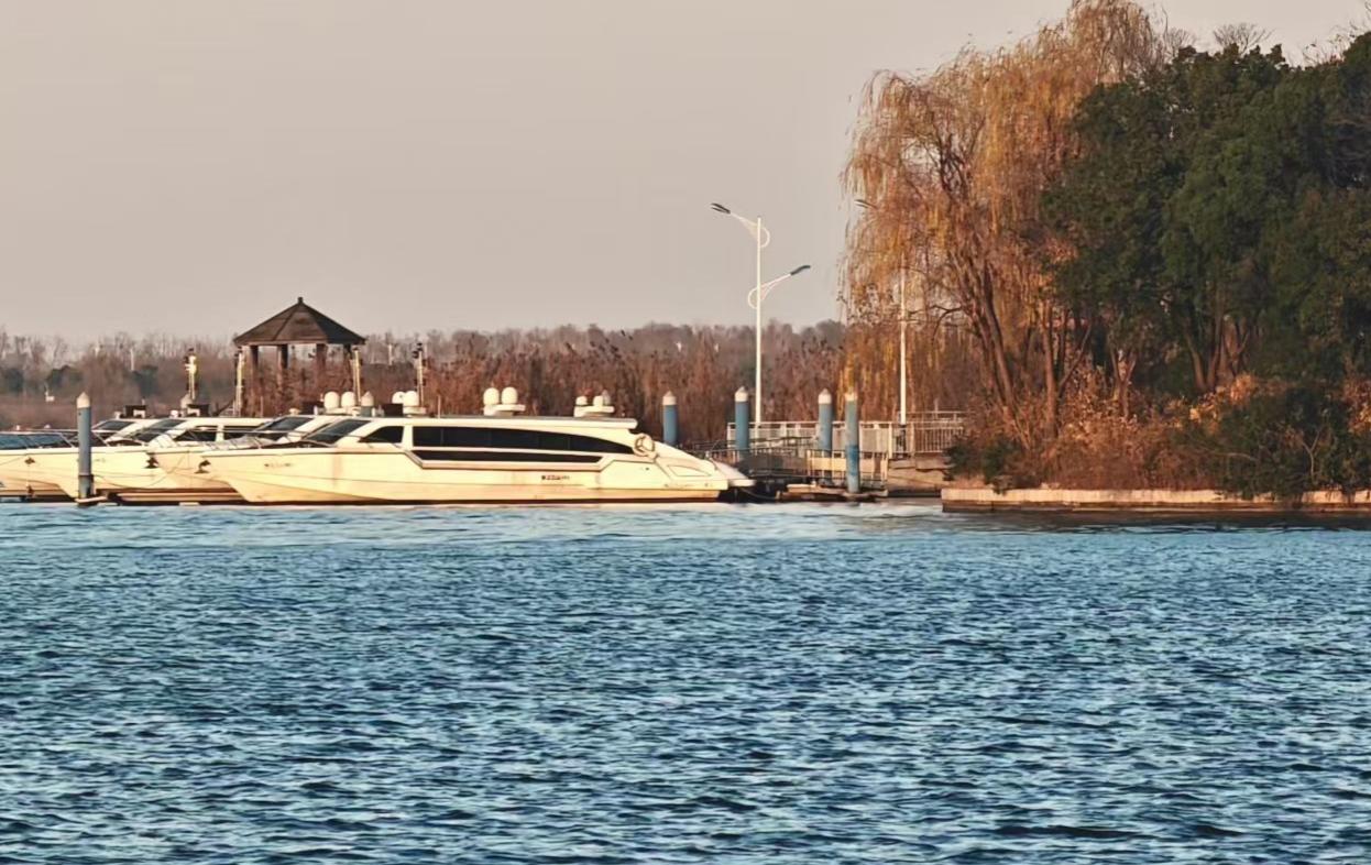 不知道你有没有过这种时刻：躺在床上翻来覆去，脑子里跟开了个杂货铺似的，啥玩意儿都