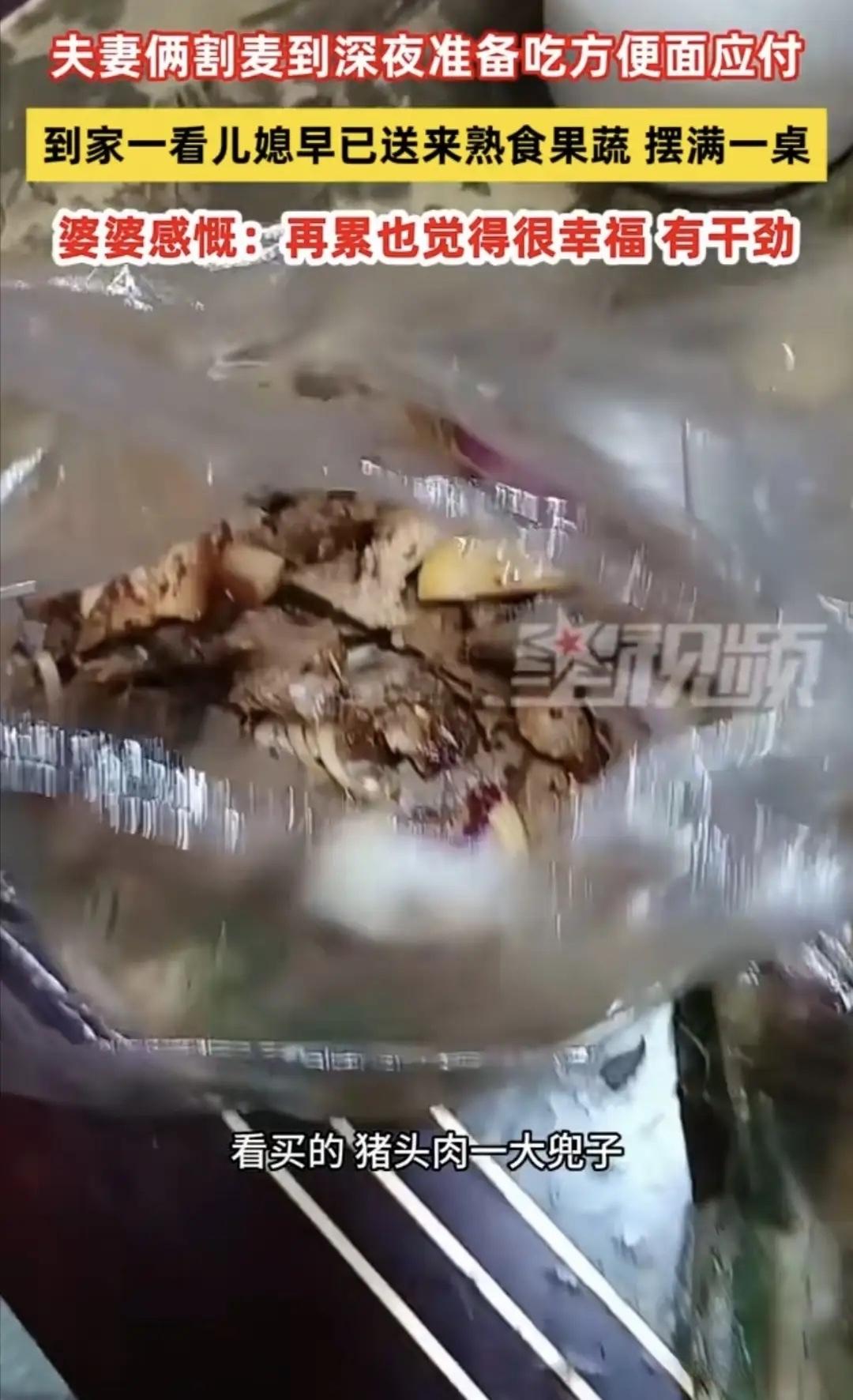 “真好！”河南，老两口割完麦子到深夜，打算泡方便面对付一口，进屋惊喜发现一大兜猪