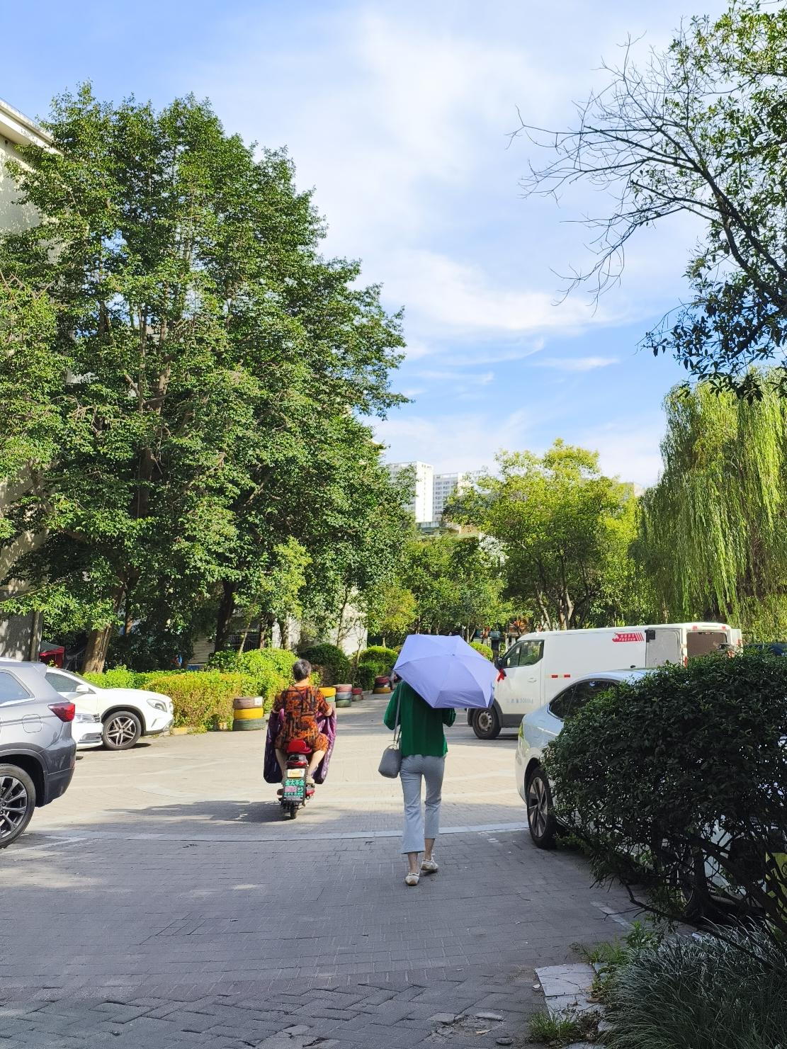 南京这天气真是让人惊喜！今天早上一出门，24°C的气温扑面而来，那叫一个舒服。要