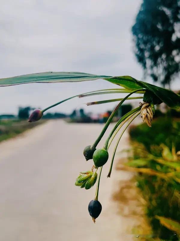 水到渠成和顺其自然看似相近，实则大有不同。
水到渠成更强调前期的积累与努力。比如