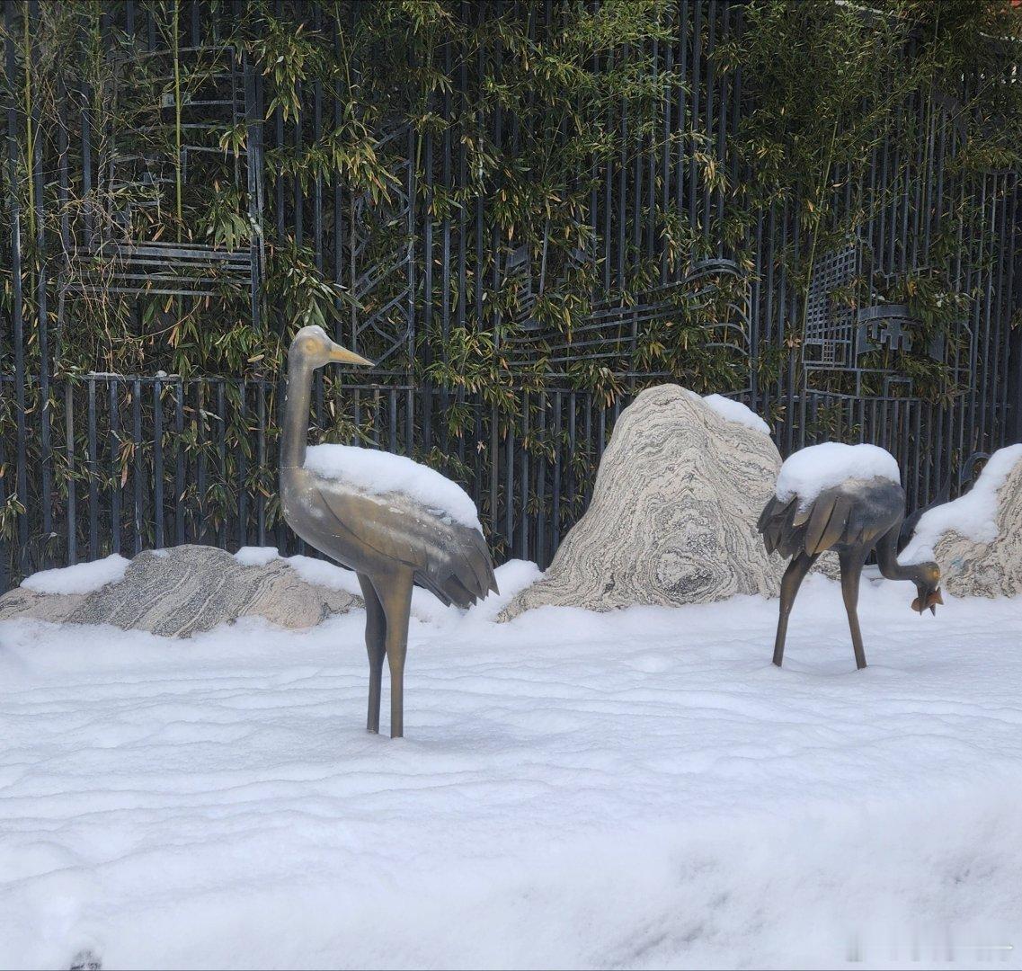 京城雪景，赏心悦目