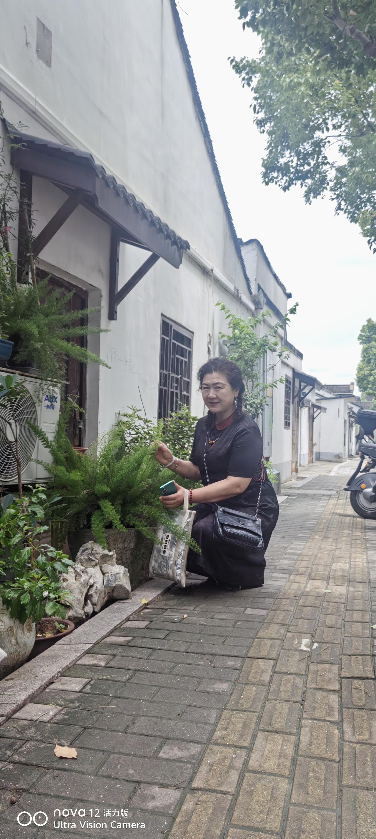 苏州老城与金鸡湖
小妞去医院产检一切正常，医生交待要注意休息，出了医院已经中午，
