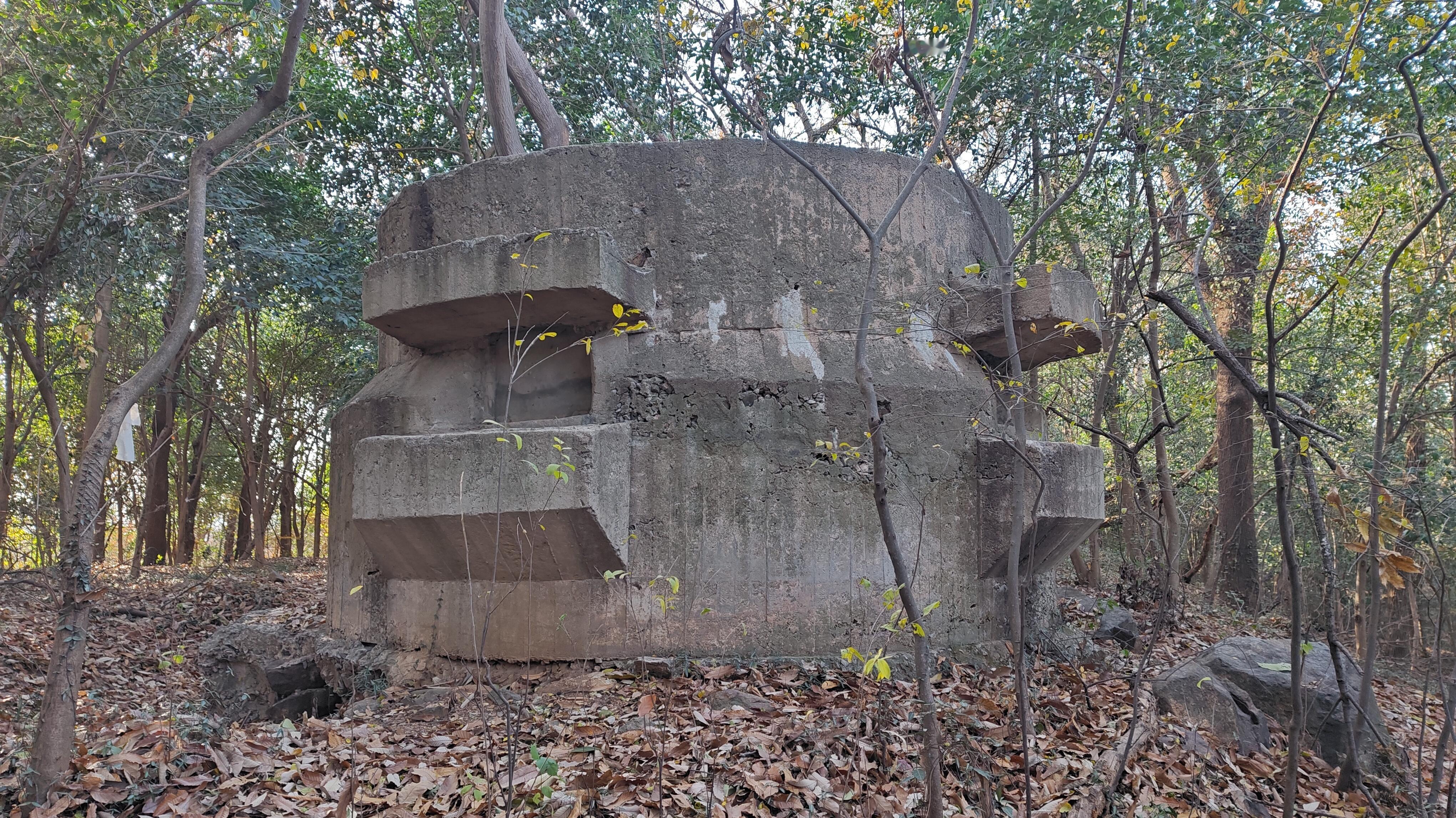 南京大屠杀88年前的此刻，紫金山才告失守！按照日军《步兵第三十三联队史》和《东京