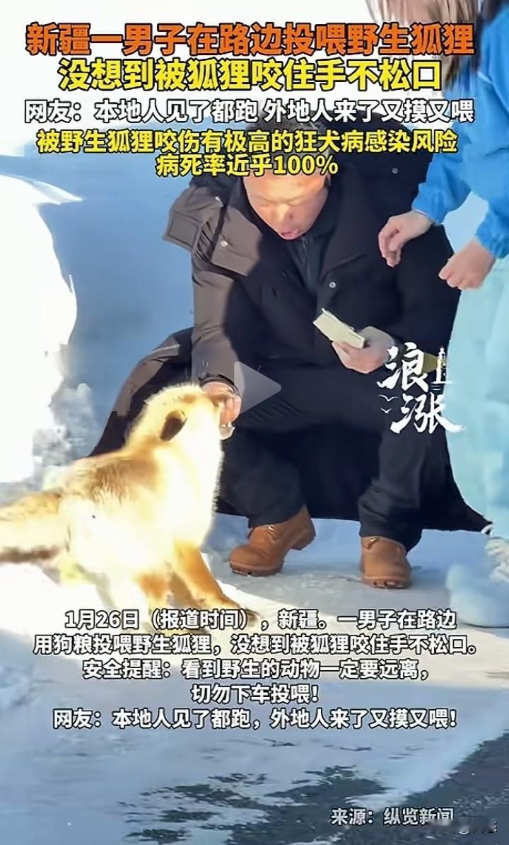 太吓人了，新疆一男子在路边用狗粮投喂野生狐狸，没想到男子被狐狸咬住手不松口。看到