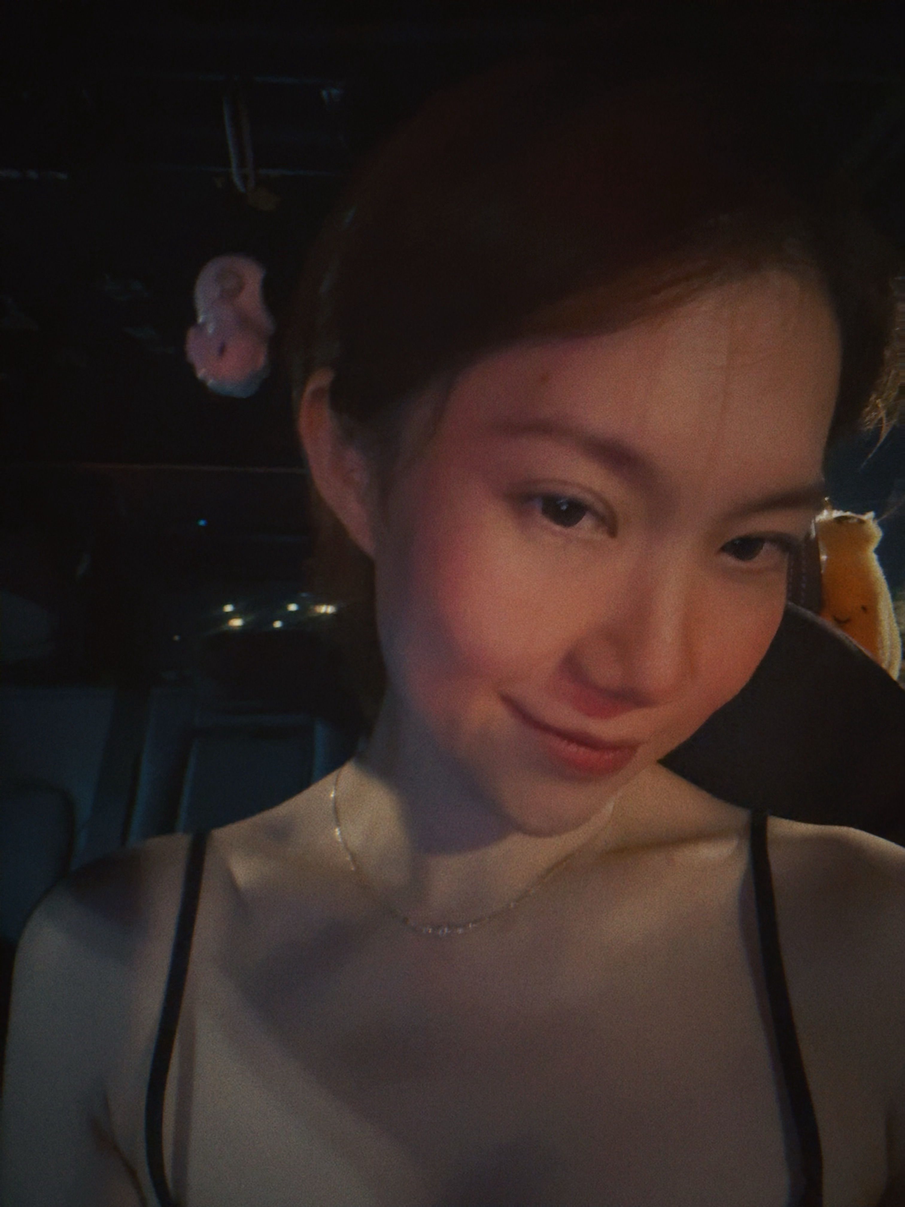 夜太美 