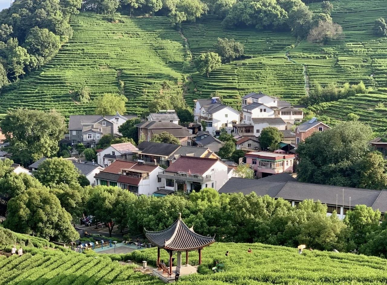 《茶山前》
晴光交翠色，一望满山春。
茶树层层绿，溪流浅浅银。
鸟鸣添野趣，风动