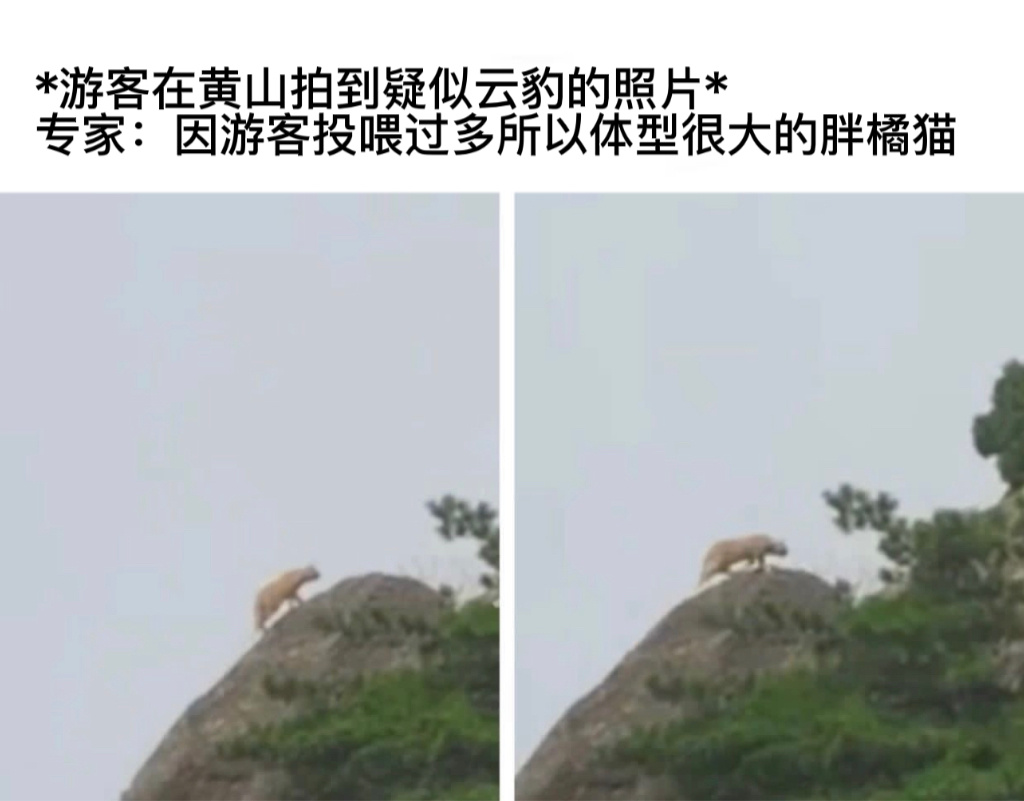 吃太好了#今日memes##趣过夏天# ​​​