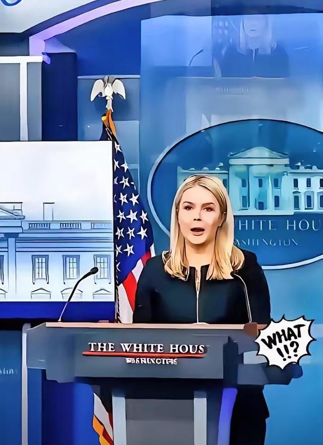 美国被中国再度拒绝了，美国官员很沮丧。 “中国不想跟我们合作了，中国想要实现半导