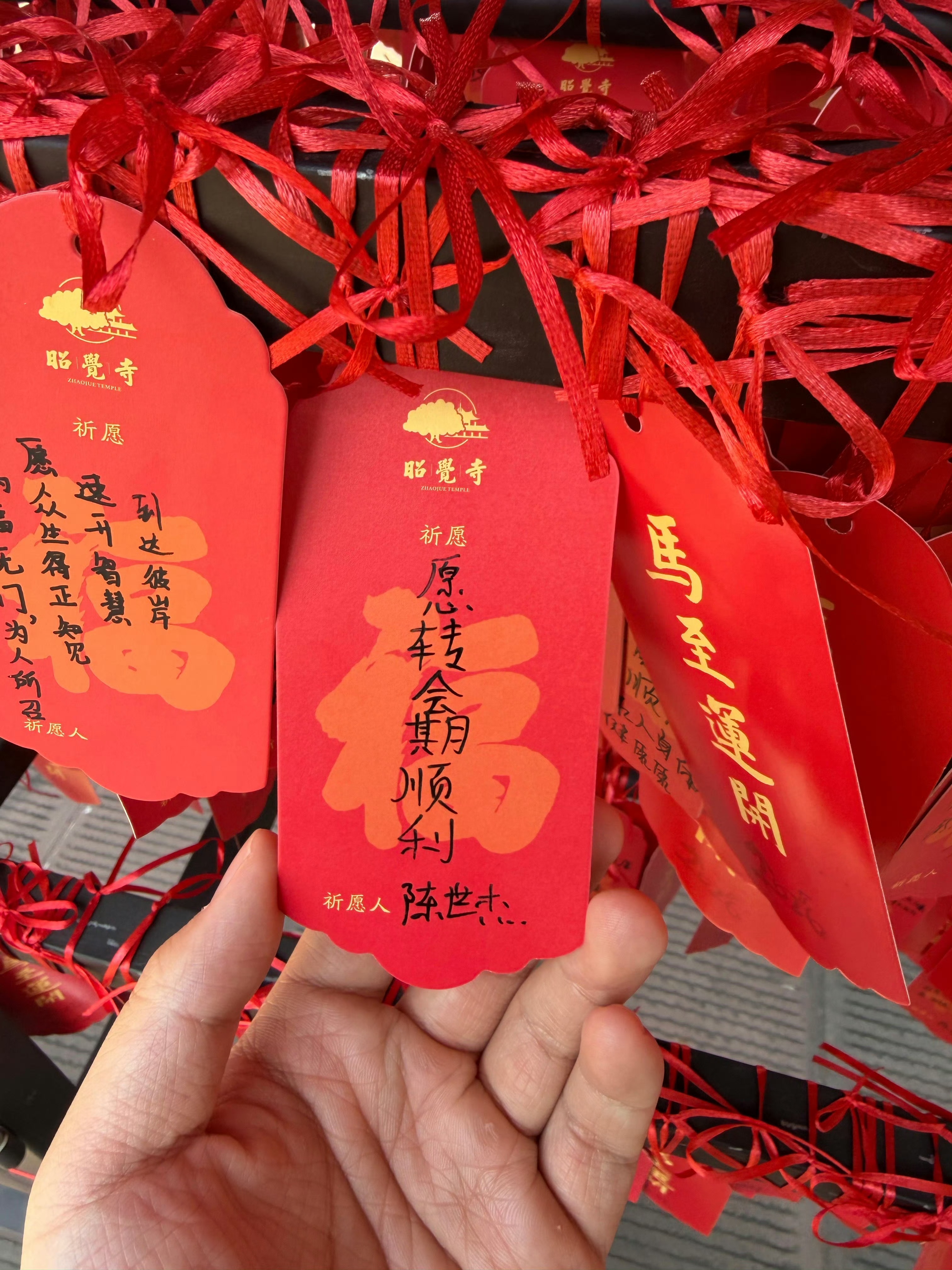 祝愿一切都顺顺利利和平精英职业联赛2026pel