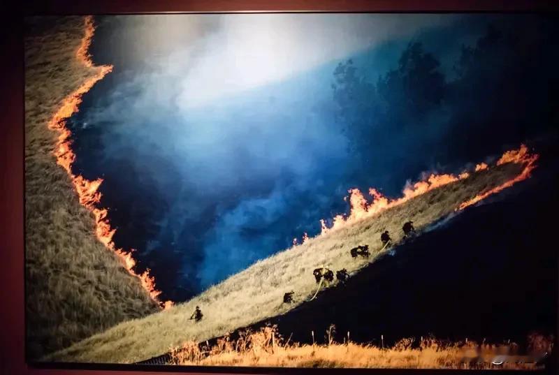 日本被曝迈向全领域作战 日本被曝迈向全领域作战
野心昭然若揭
须引国际社会高度警