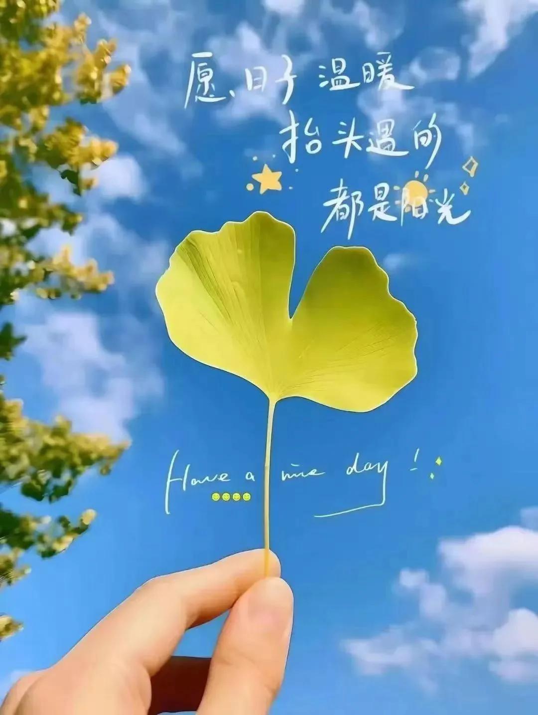 谁像你，这么优雅在自己的象牙塔里。。。
#怎么写出让人心动的文字#

我的文字