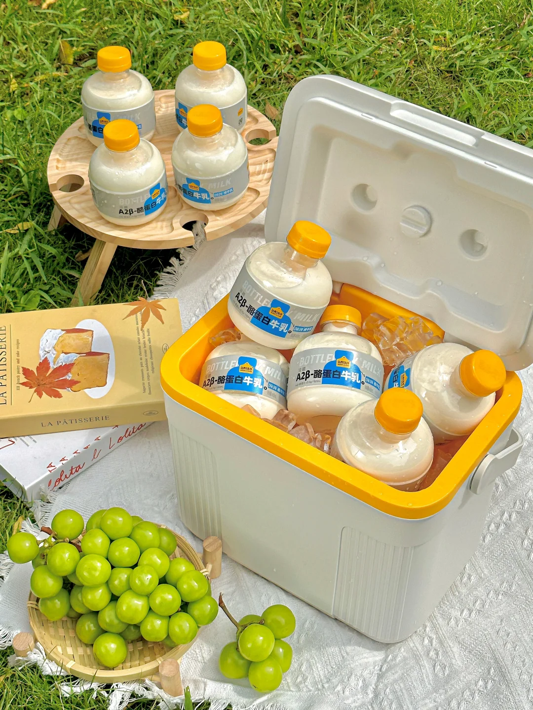 我的好闺蜜….可以带我一起去秋游野餐吗！！