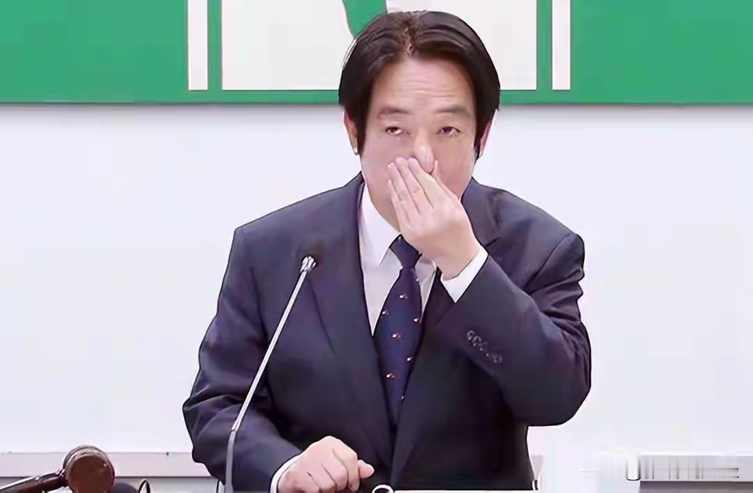 终究是没拦住，赖清德成功溜出斯威士兰！在各方默许下，赖清德再次搭乘一架外国飞机，