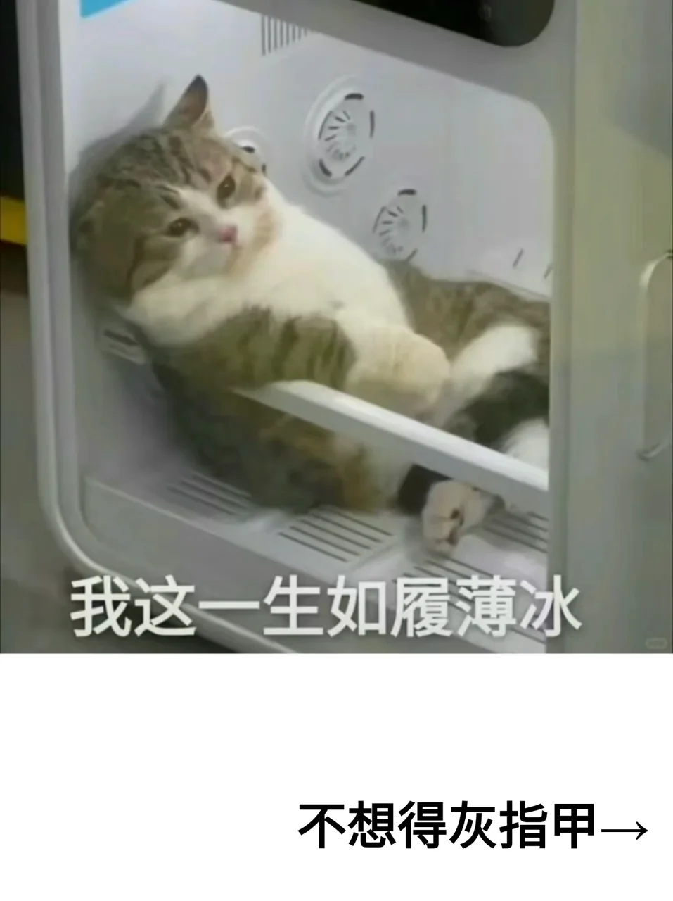 再也不想得灰指甲了