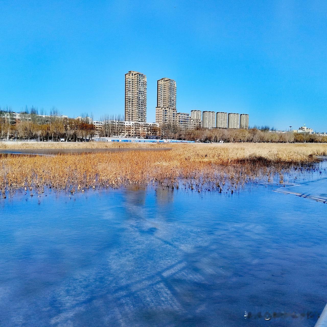 锡日塔拉河的冬秋夏
今天(2025年12月2日)
路过锡日塔拉河时拍了一张图片，