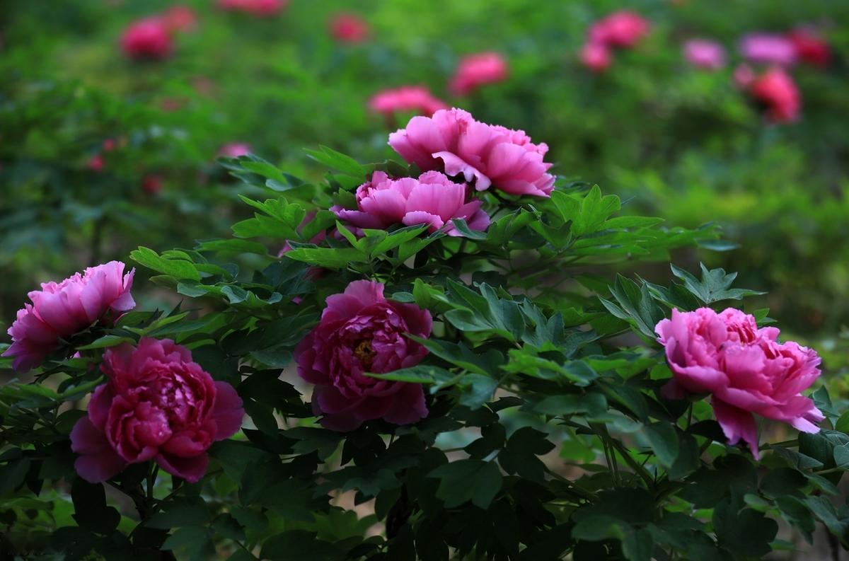 与其担心未来，不如现在好好努力。人生没有彩排，每个人有每个人的精彩。不是所有的人