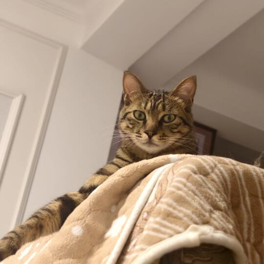 我在四月陷入了一种痛苦的循环。 	 忙碌——疲惫——错漏百出——忙碌—...