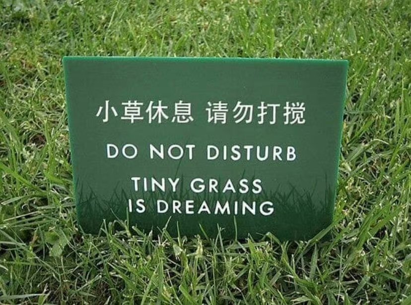 做梦去了 ​​​