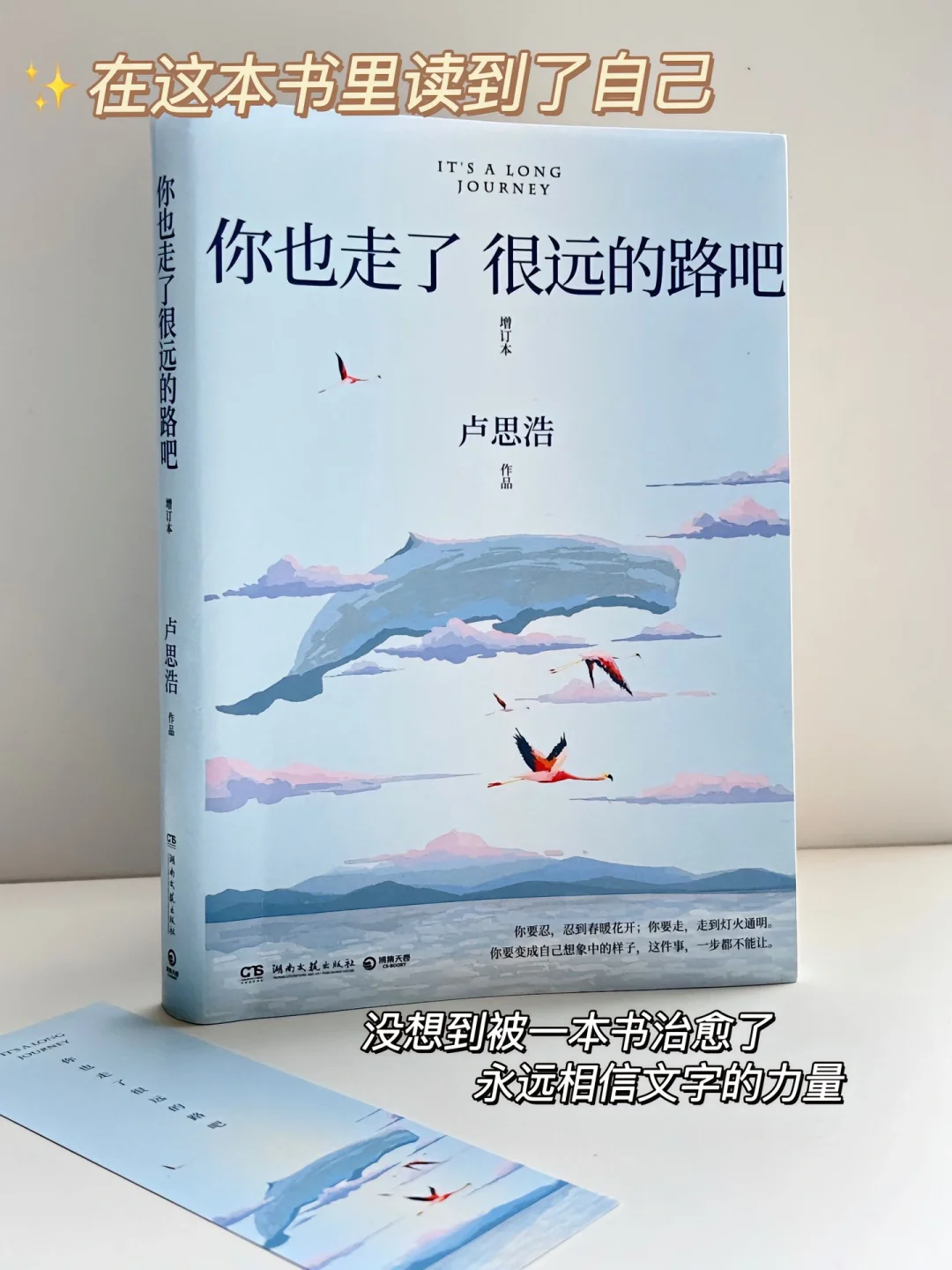 《你也走了很远的路吧》
