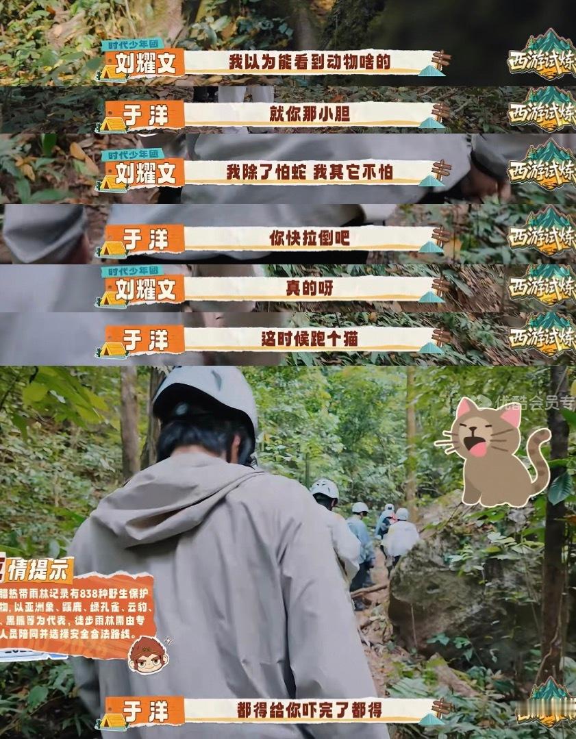 老爱逗我们文文 