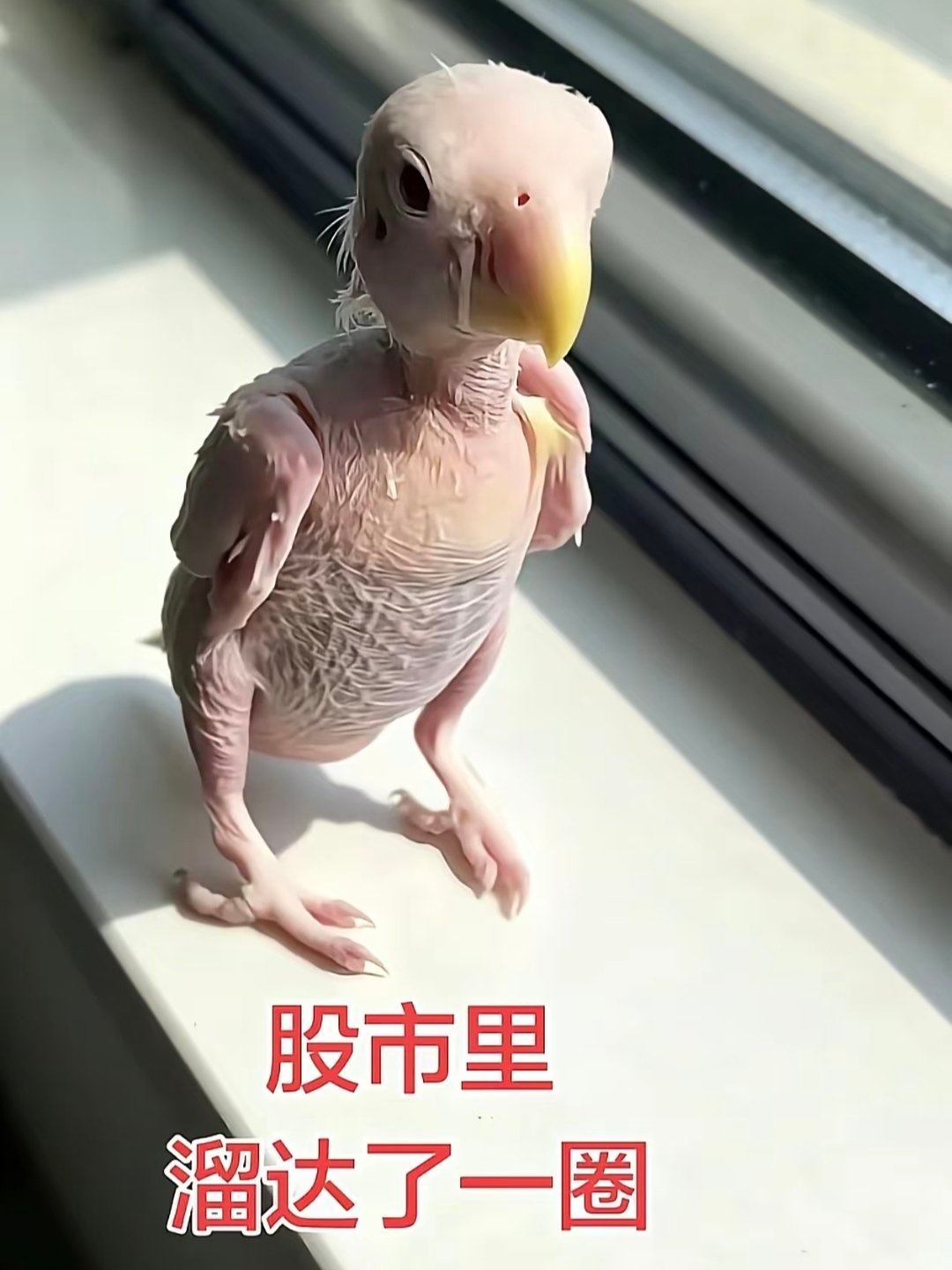 A股四千股下跌：散户的心酸谁懂😮💨都说大A特色鲜明，主打一个独树一帜：外围大