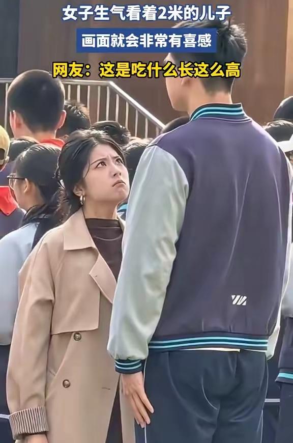 今天被这个图片刷爆了
女子生气看着2米的儿子，
画面就会非常有喜感。

    