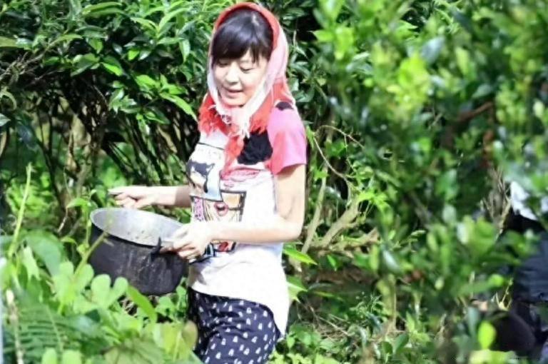 儿子辟谣母亲纠缠李金铭12年看完只剩唏嘘，一段十几年前的综艺，被反复翻炒制造矛盾