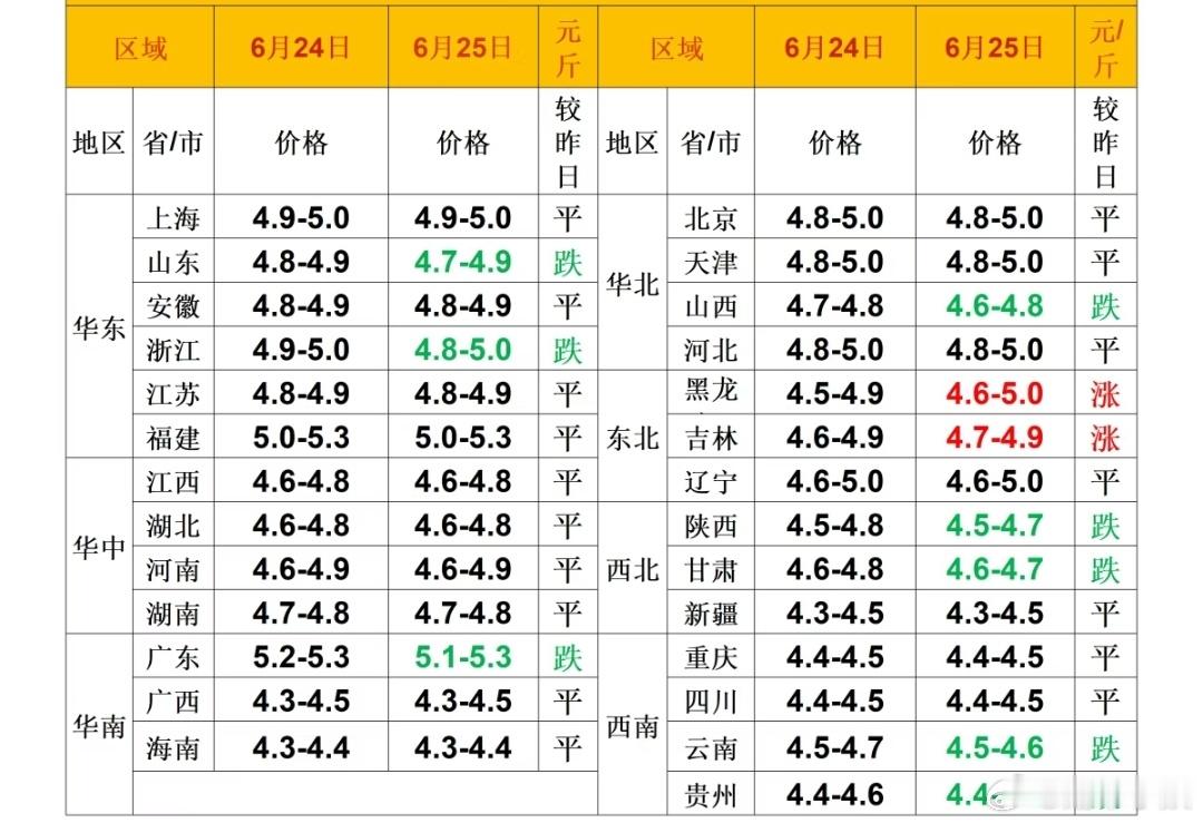 每日猪价 