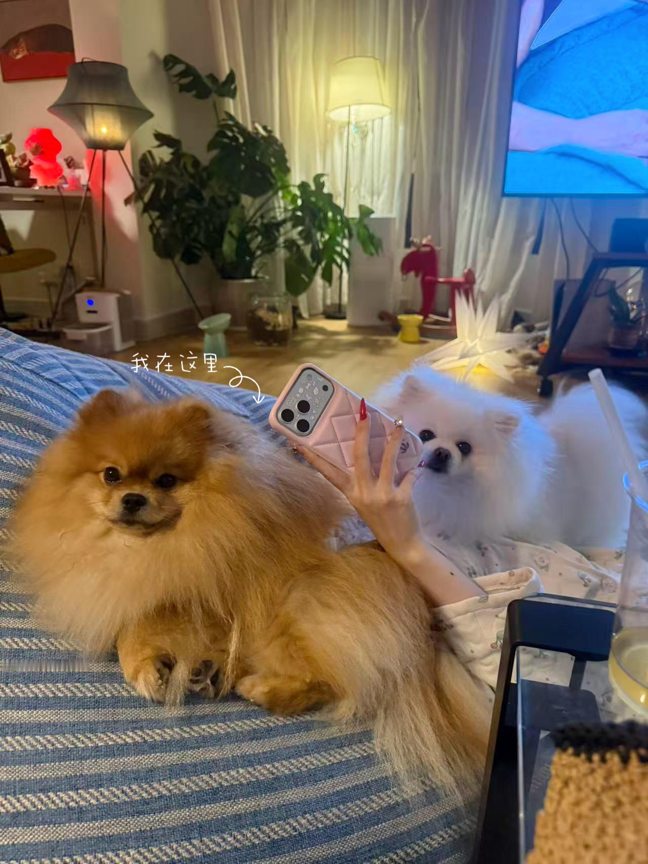 终于知道发日常了行行不行！！以后我尽量一周一更！日常碎片plogplog