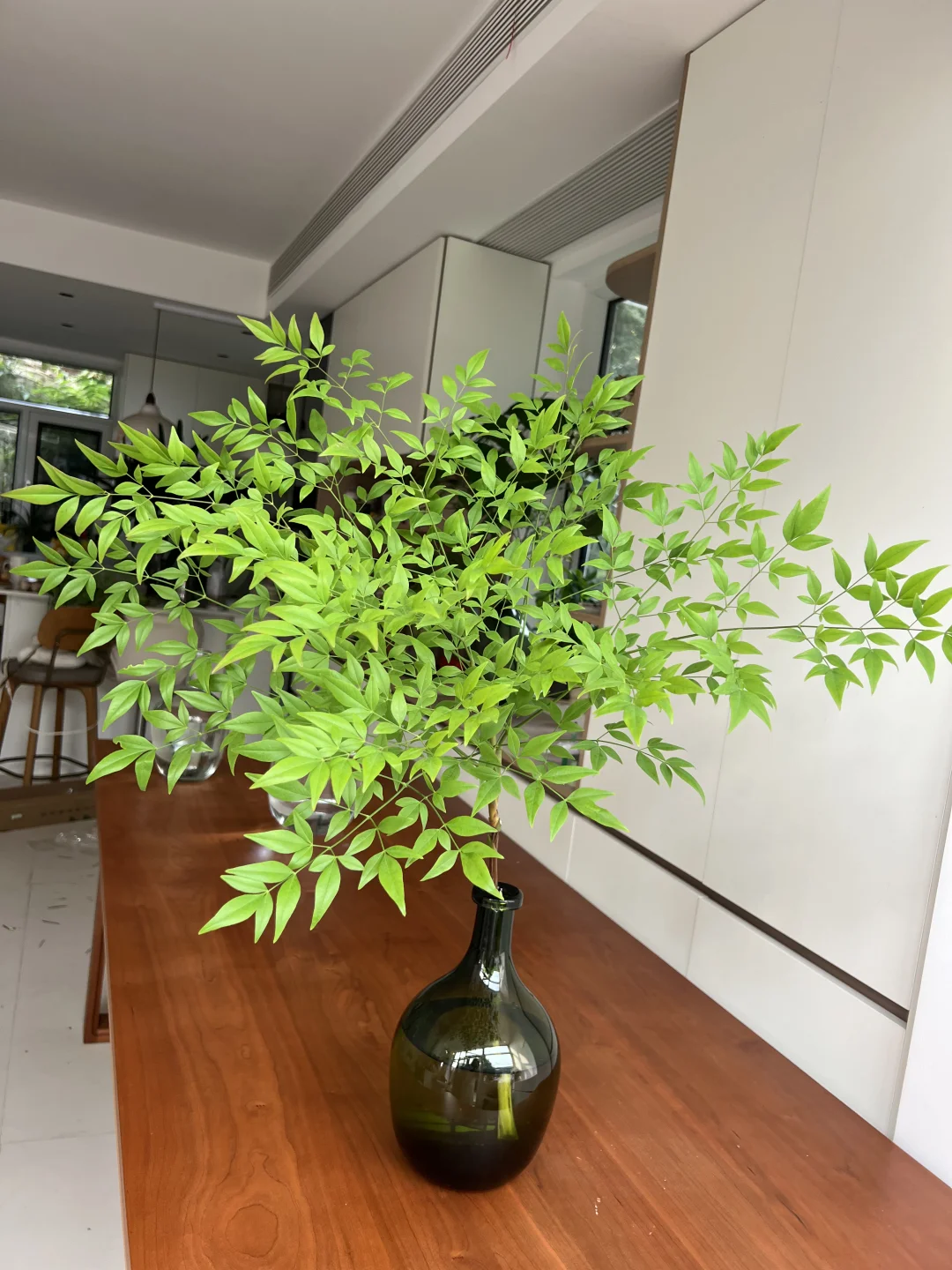 南天竹再发一天，明天要开启预售啦🌿