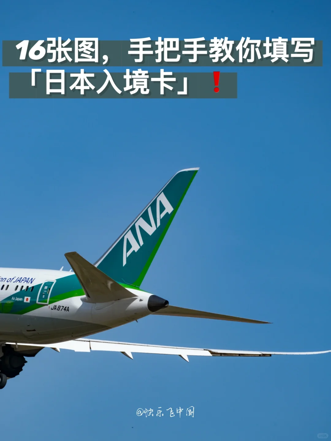 16张图，手把手教你填写「日本入境卡」❗️