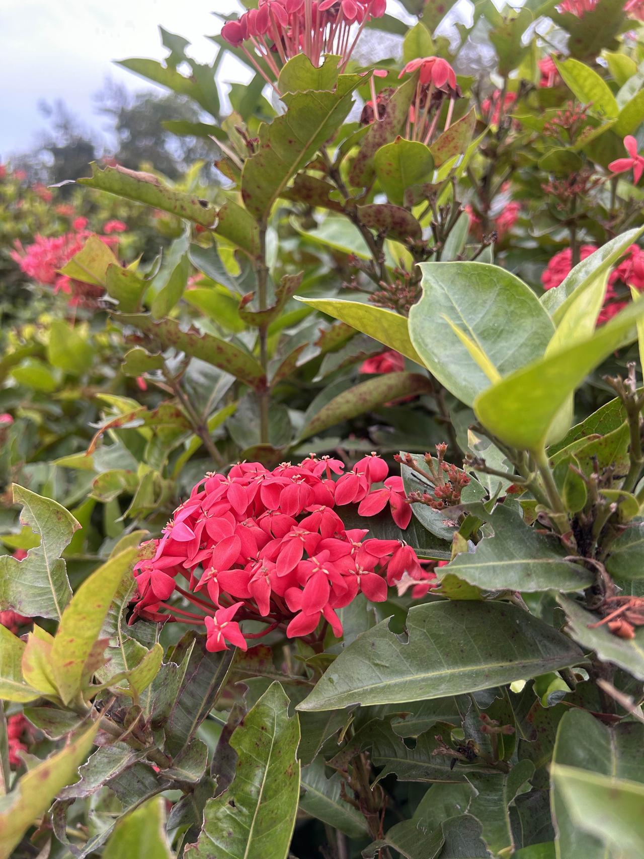 我这人，天生就见不得东西浪费，
说出来不怕你们笑，
家里处处都藏着我的“小算计”