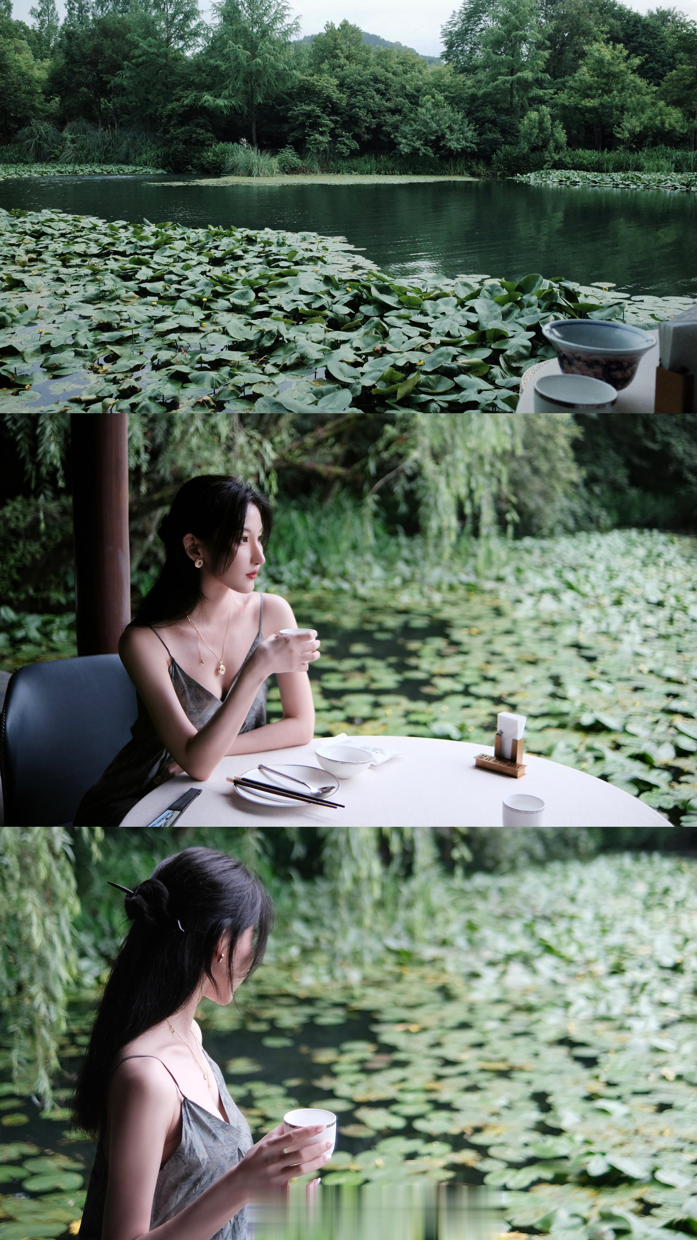 好一个清凉地🌿西湖边上的遇湖湾一川风月 满堤杨柳雨后凉爽的天气独赏 共享 都是