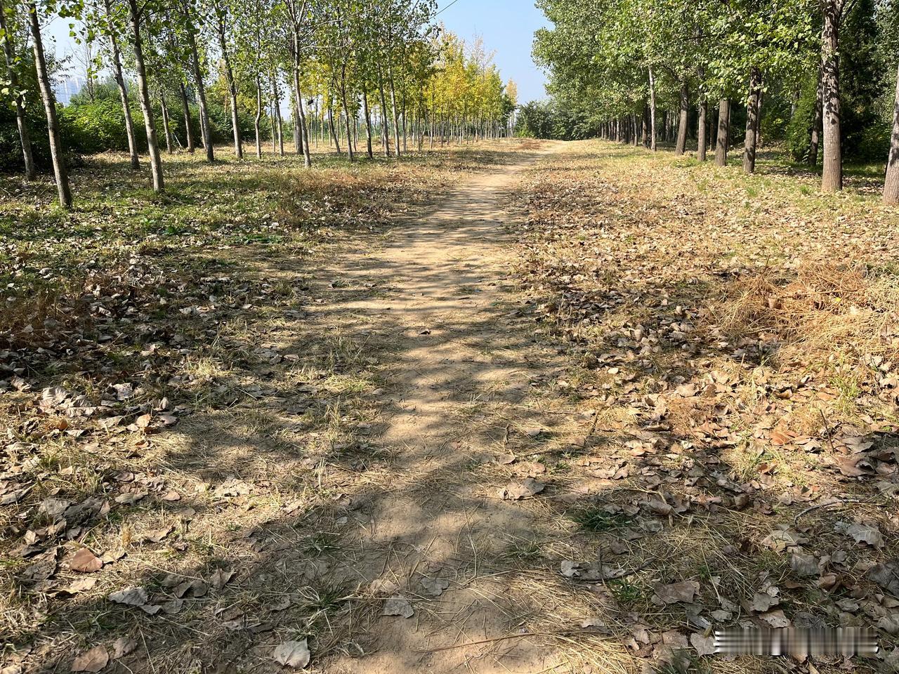  走过很多景点，感觉现在的景点都被人工改造的没有了原来自然的那种“野性美”了。人