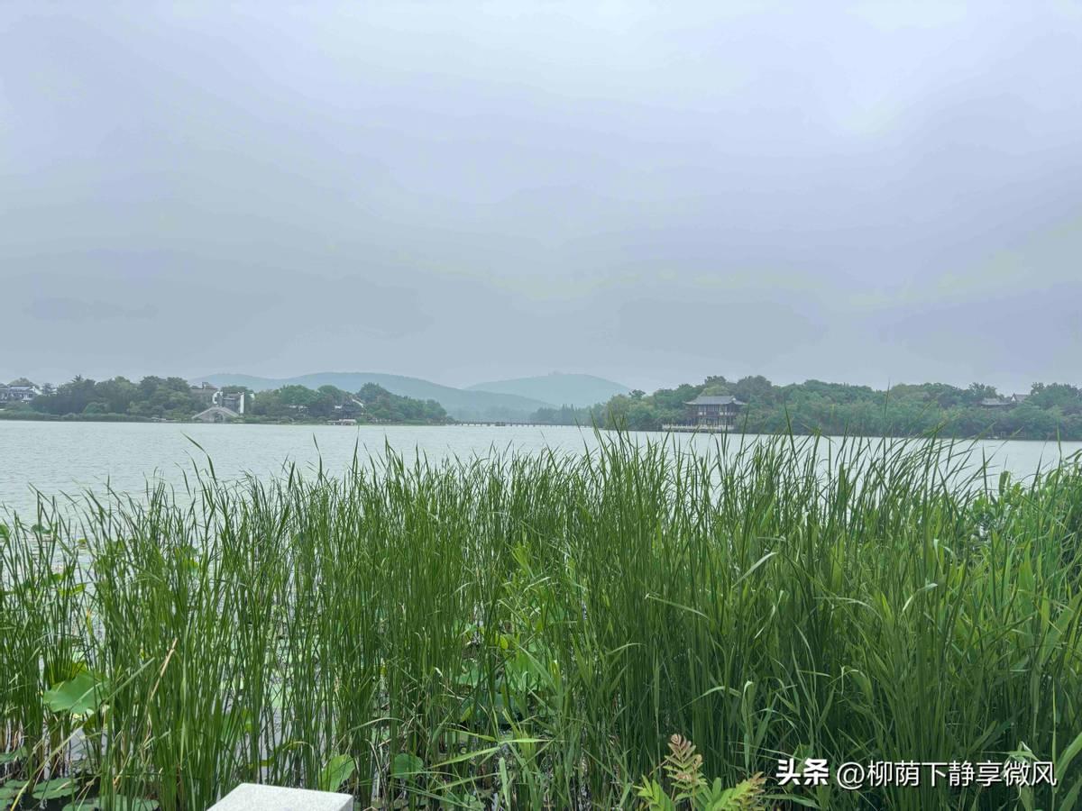 54岁老师站在讲台上，瞪圆了眼睛想制止学生扔纸飞机。换来的是一张嬉皮笑脸的脸，和