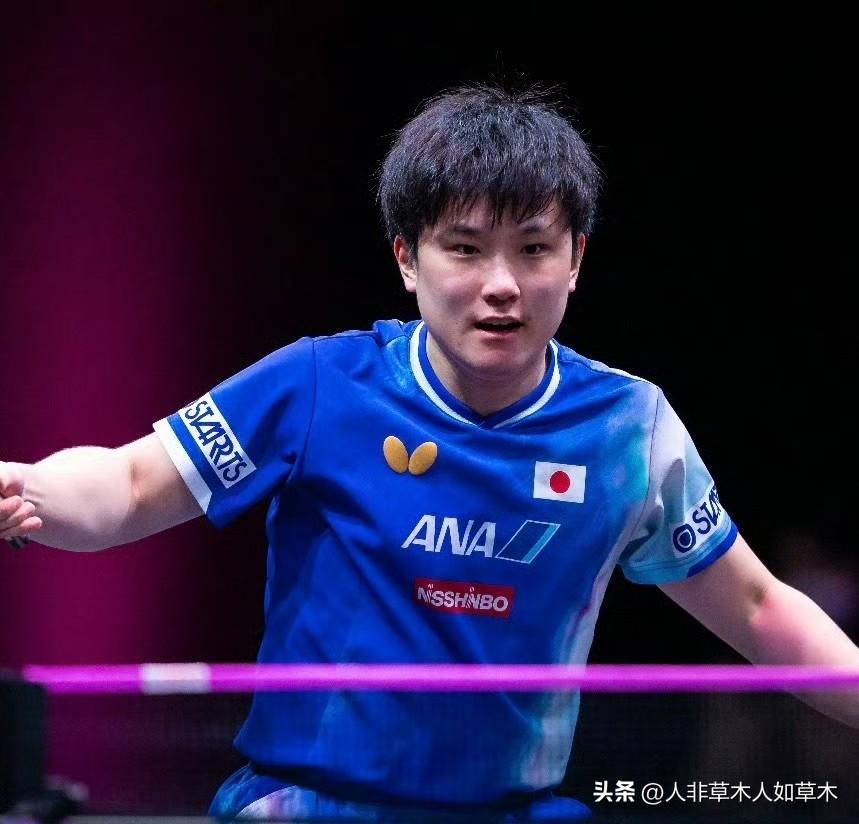 好消息:
多哈球星挑战赛薛飞又跟张本智和分在一个小分区了！二人两次交手记录中薛飞