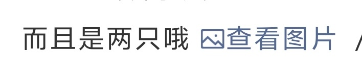 给啊 