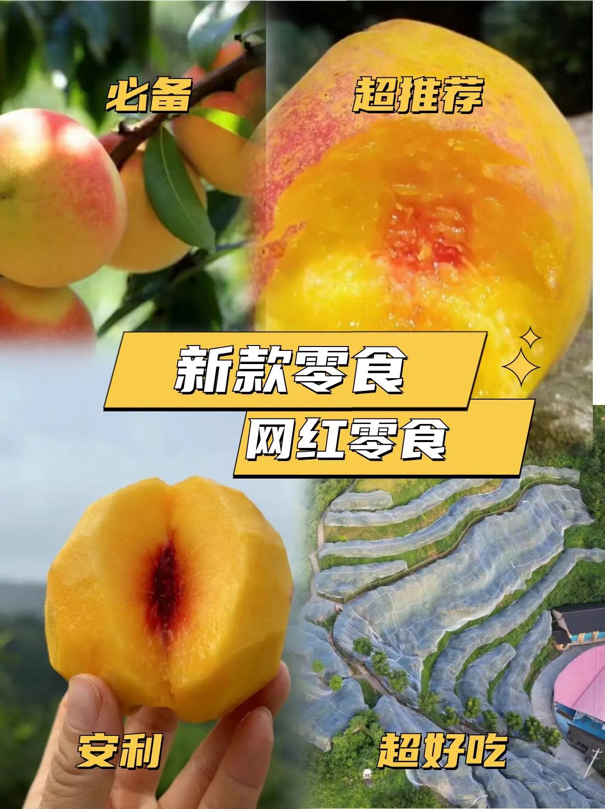 麻阳富硒黄桃