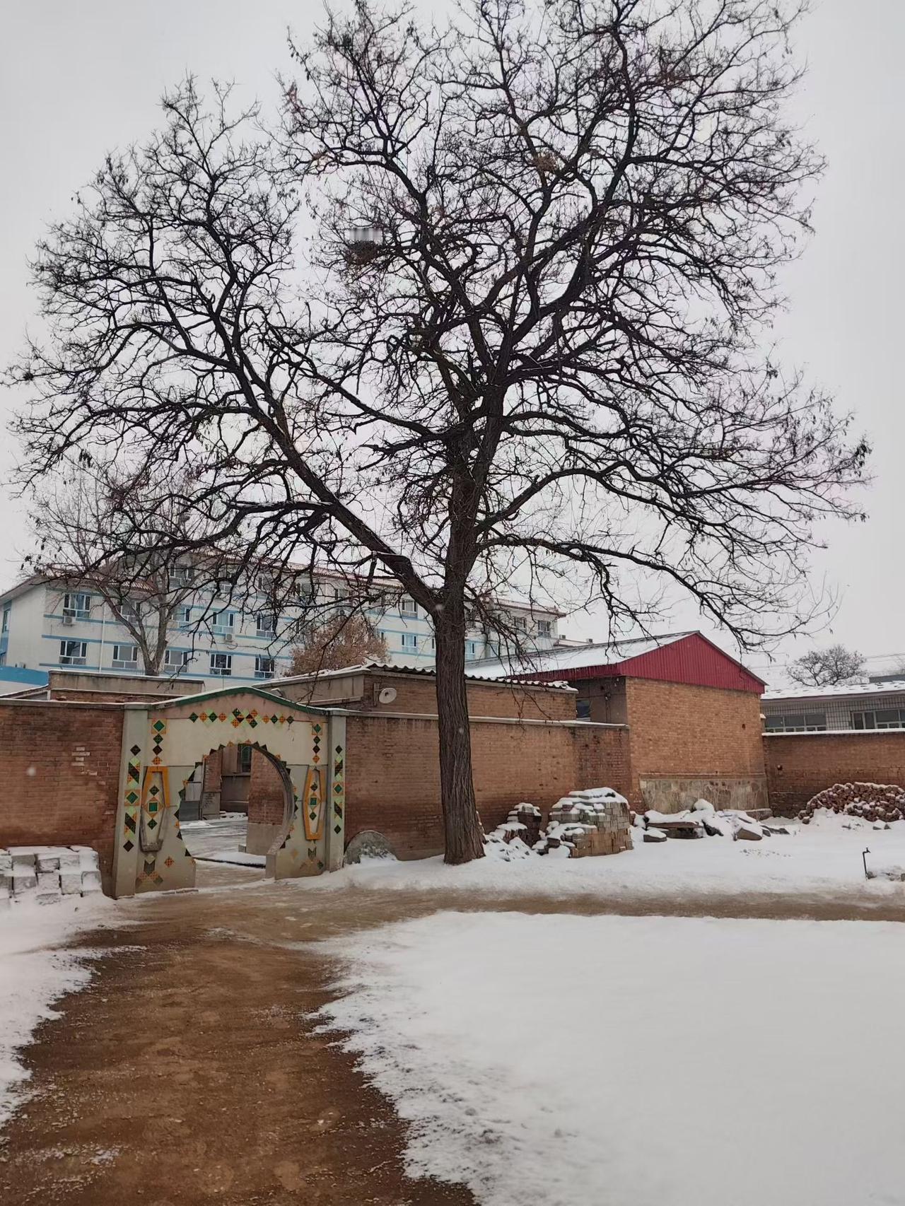 上世纪七八十年代，我们还是孩童时，每遇冬雪过后，街坊邻居便纷纷带着工具出门扫雪。