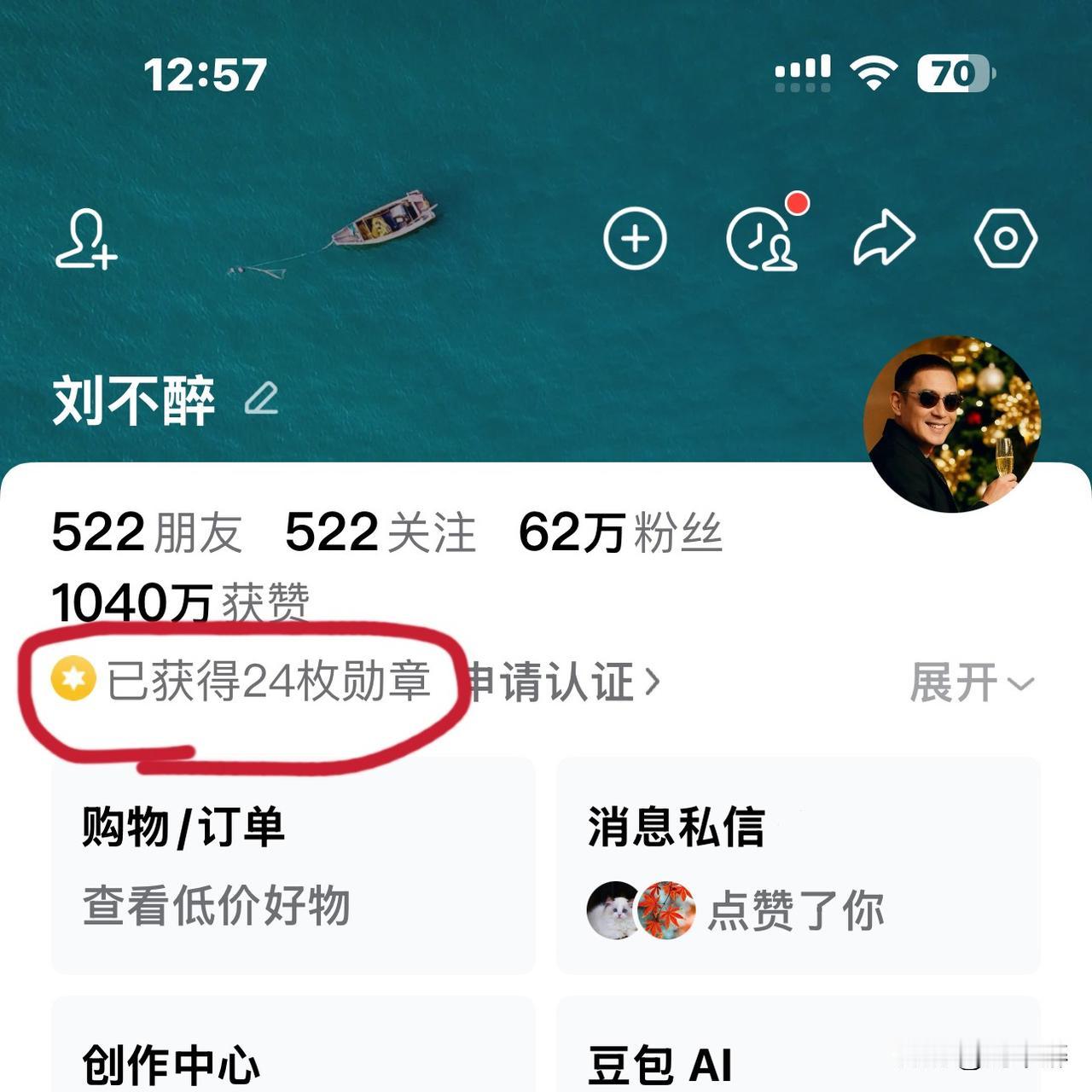 我荣获了24枚勋章！
最让我倍感自豪的当属“爆款专家”和“劳模创作人”这两枚勋章