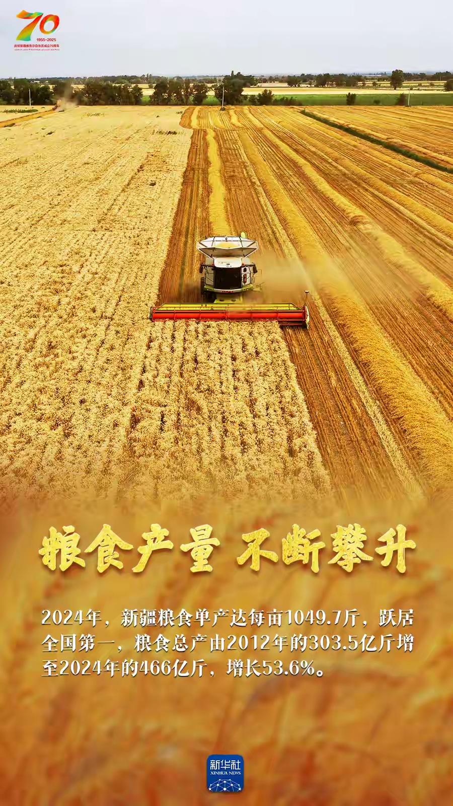 巨变70年｜天山南北“丰”景如画

正是丰收好光景，天山南北仓廪实。今年是新疆维