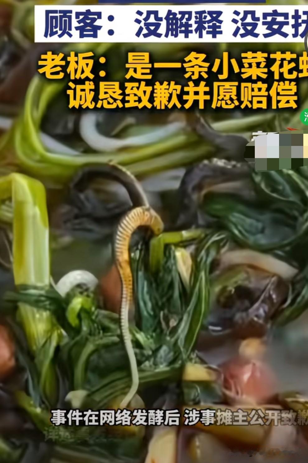 在外面吃饭真的是眼不见为净，如果你看不见脏东西吃着还挺美味的，一旦看到了就会恶心