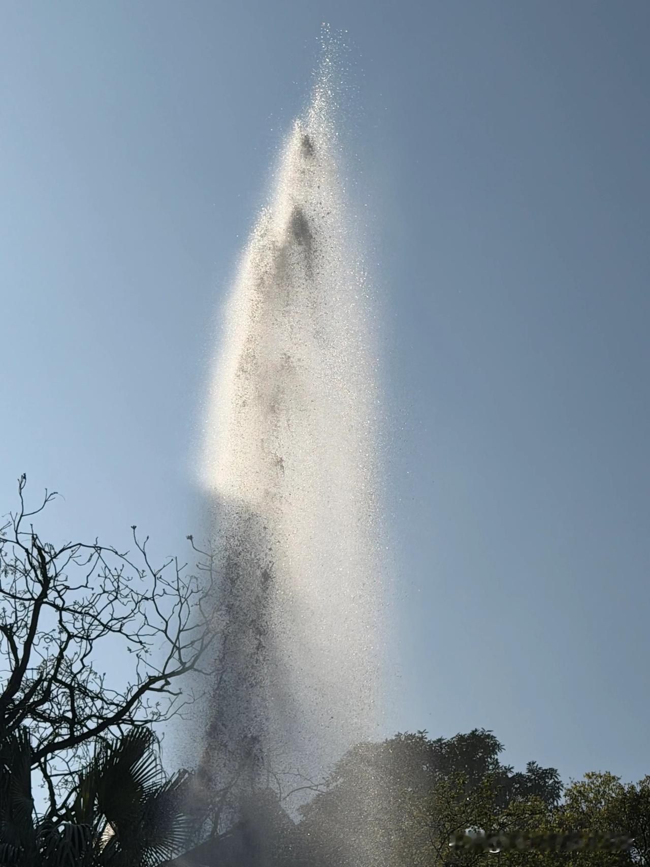 哇奥
泉里藏光
光里藏花
花中有我
独享清欢
独爱自然
独揽阳光
生于自然
酷对