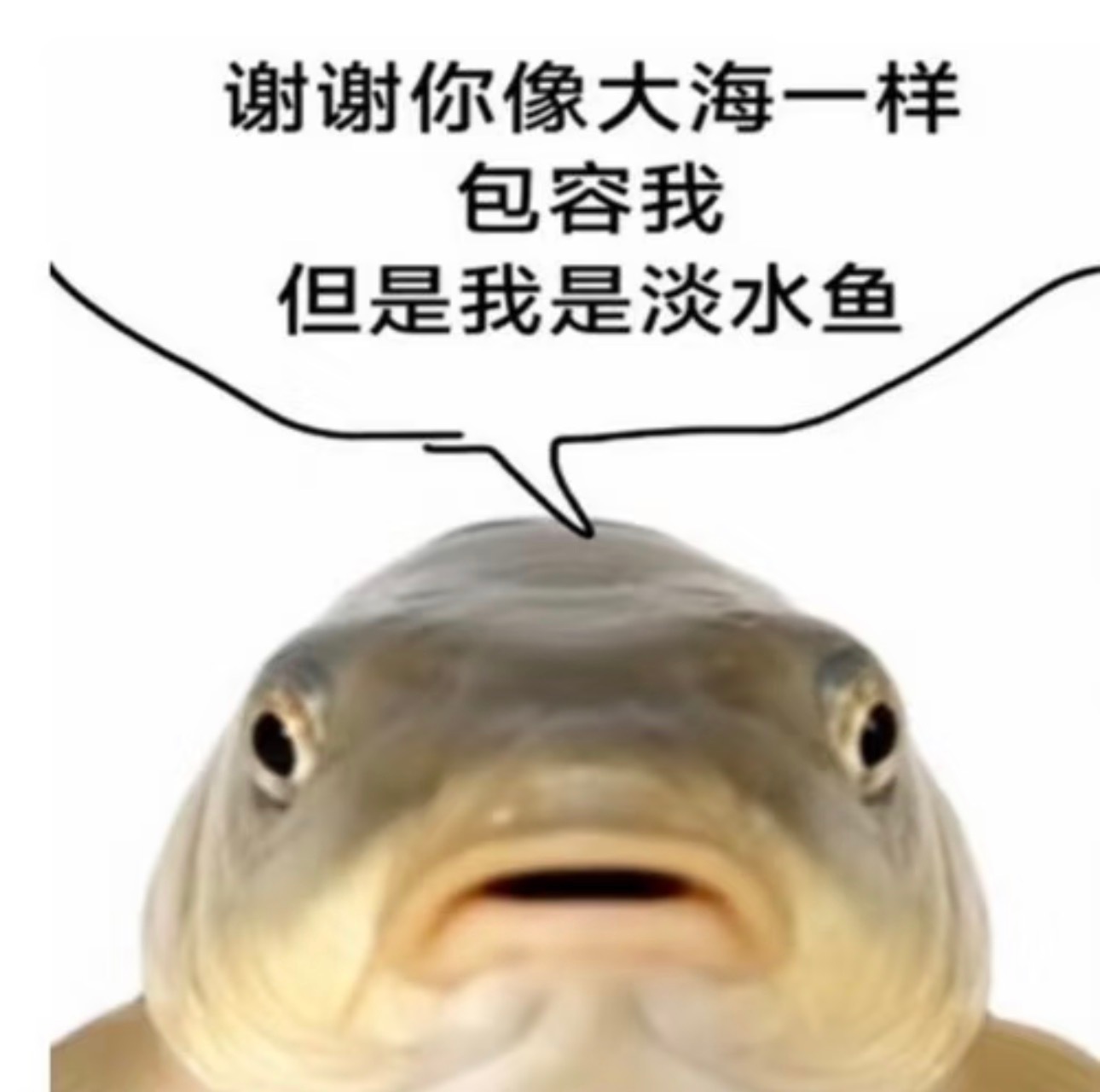 当地的朋友推荐我去参加，有很多年轻美女帅哥参加的健身跑步俱乐部。跟我说如果你想认