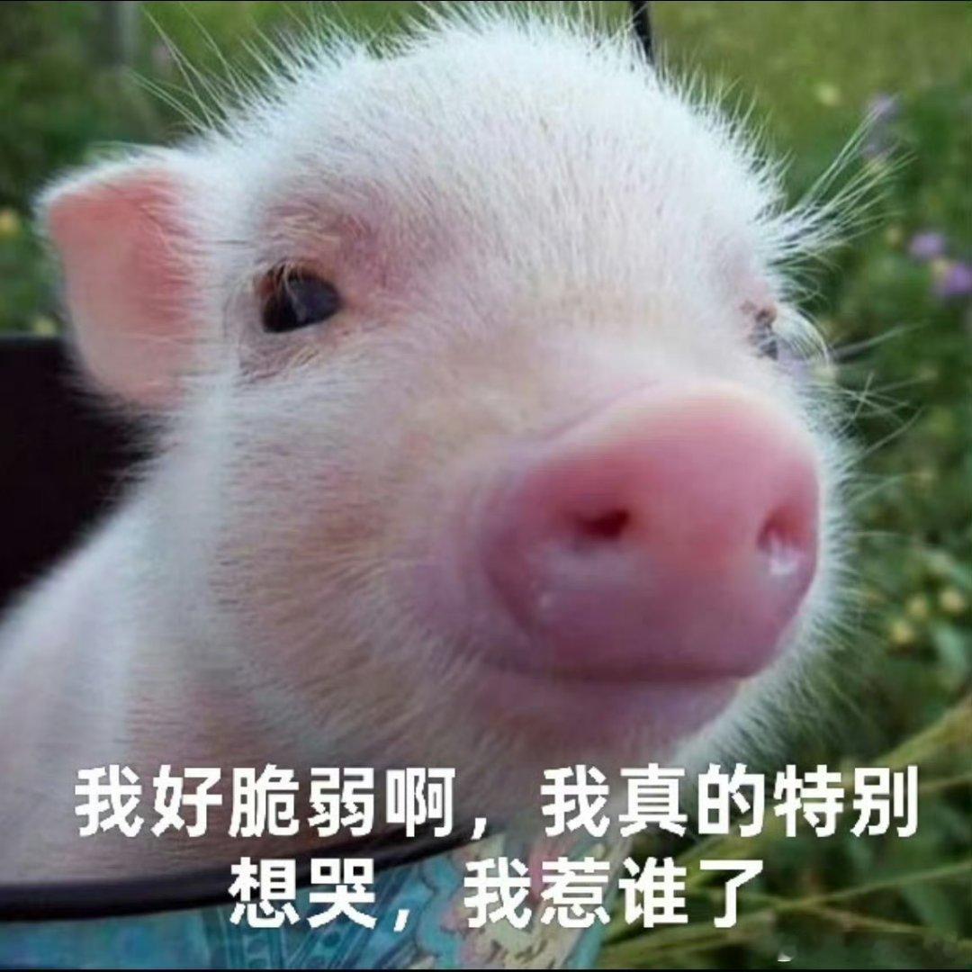 人生的路经历过，才知道有短有长；岁月，在无憾中微笑，才美丽；回过头，想着明天抱一