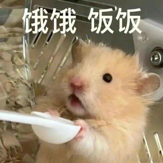 咱们就是说！有没有书可以推荐一下！真的太饿了……最近完全吃不上饭😭有类似‘青山